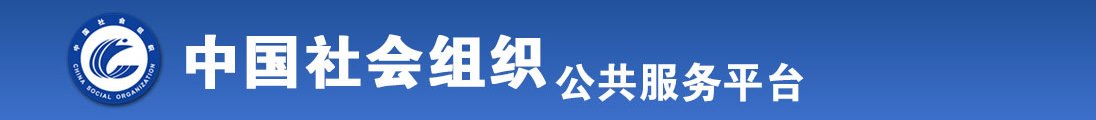 又湿又紧又大又爽A视频全国社会组织信息查询